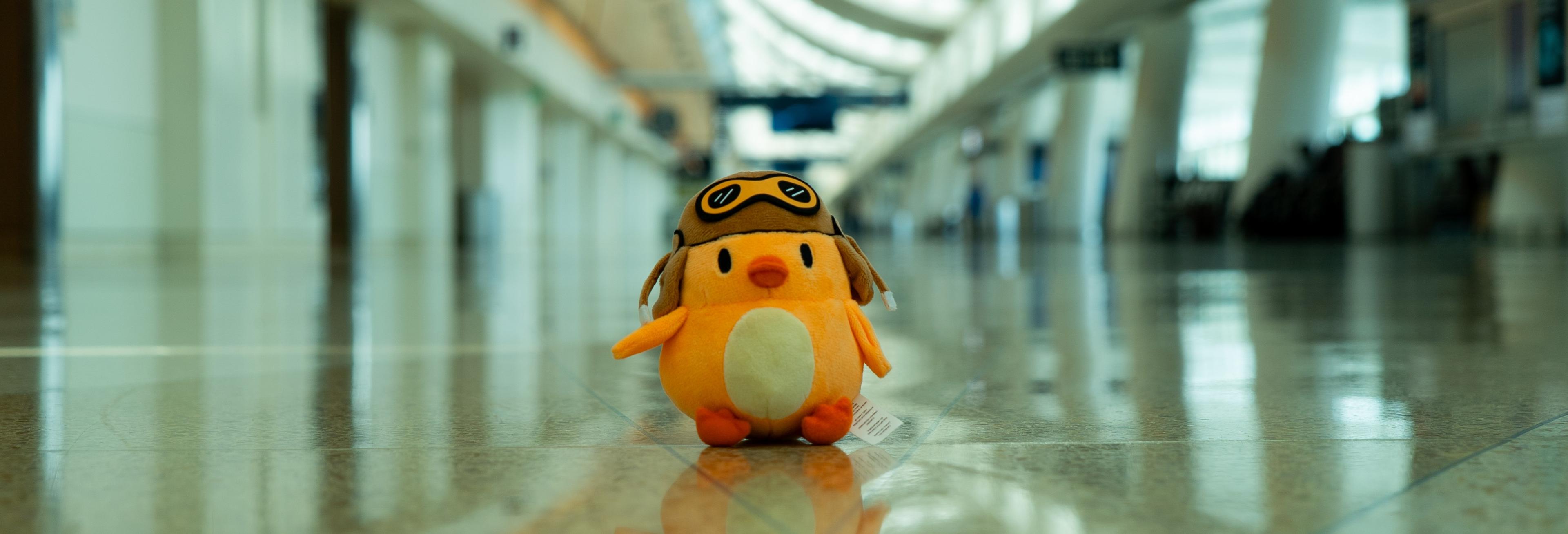 Ernie in Terminal B